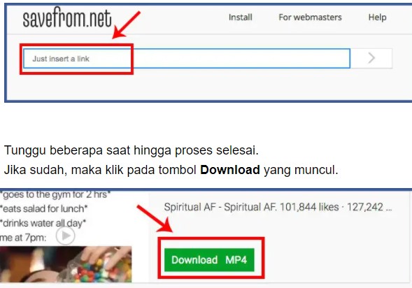 Menggunakan Savefrom.net