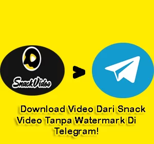 Cara Download Video di Snack Video Tanpa Watermark Lewat Telegram