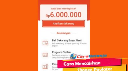Gesek Tunai Shopee Paylater