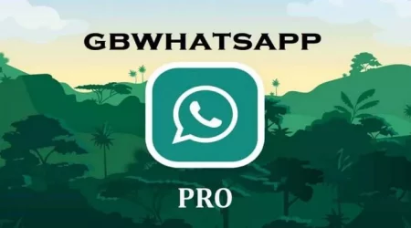 GB WhatsApp APK Pro Versi Terbaru