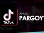 Apa itu Goyang Pargoy yang Lagi Viral TikTok