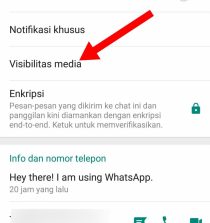 Cara menyembunyikan foto kiriman di WhatsApp
