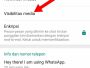 Cara menyembunyikan foto kiriman di WhatsApp
