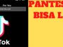 Apa Saja Penyebab Tidak Bisa Live di TikTok dan Cara Mengatasinya
