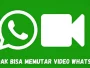 4 Cara Mengatasi WA Tidak Bisa Buka Gambar & Video, Mudah!
