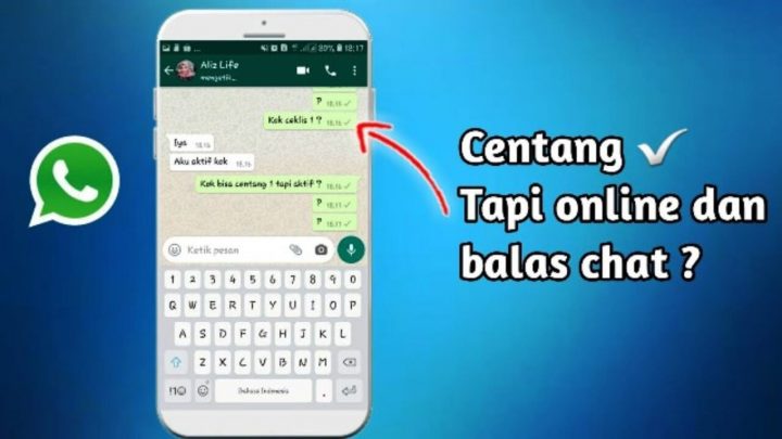 Cara Membuat WhatsApp Centang 1 Padahal Lagi Online, Mudah!