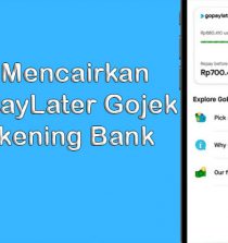 Cara Mencairkan GoPay PayLater (Paylater GoJek) Ke Rekening Bank dan Lainnya!!!