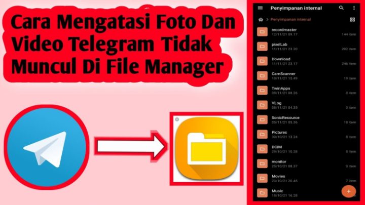 Cara Mengatasi Video Telegram Yang Tidak Tersimpan Di File Manager