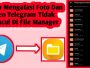 Cara Mengatasi Video Telegram Yang Tidak Tersimpan Di File Manager