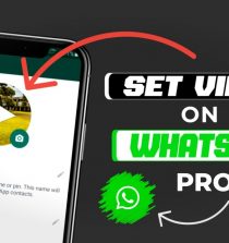 Download Aplikasi Provid WhatsApp Profile Video