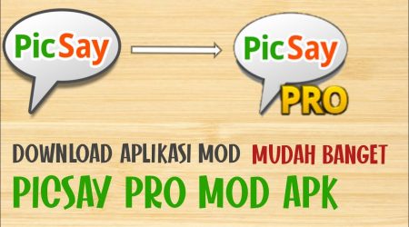 Link Download PicSay Pro Mod Apk, Unlock All Filter + Fitur Premium Gratis!