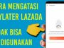 Lazada PayLater Tidak Bisa Digunakan, Ini Penyebab & Cara Mengatasinya!