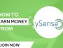 ySense Situs Survey Online Penghasil Uang, Dibayar 20rb/Jam! Apakah Aman & Membayar?