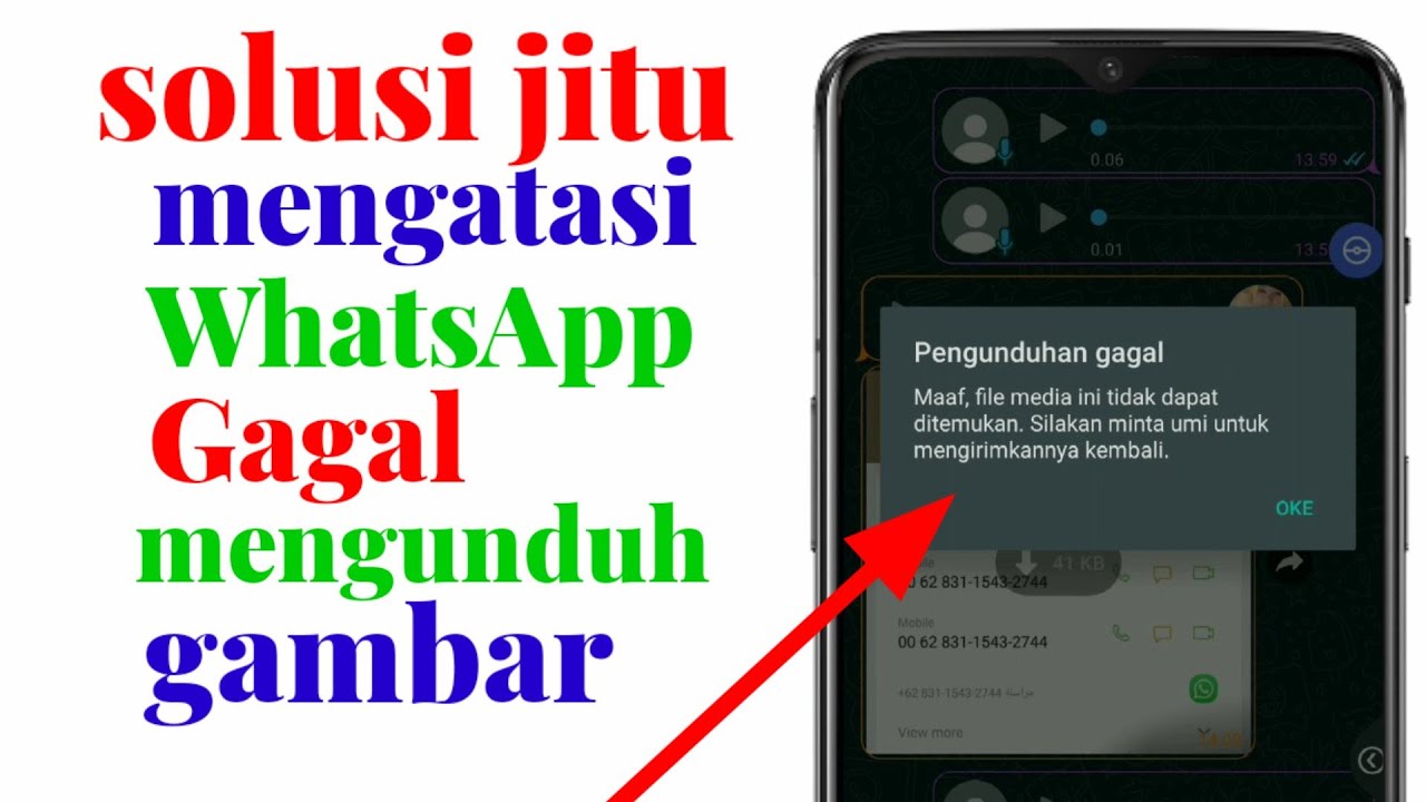 11 Penyebab & Cara Atasi WhatsApp Gagal Mengunduh Gambar