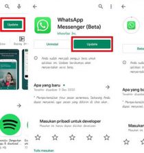 Update WhatsApp ke Versi Terbaru